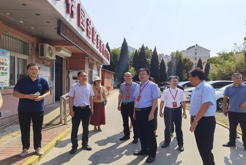 云龍區領導督辦重點提案　深入推進全國文明城市創建工作