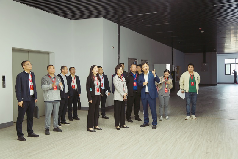 云龍區區長陳婕領銜督辦重點提案