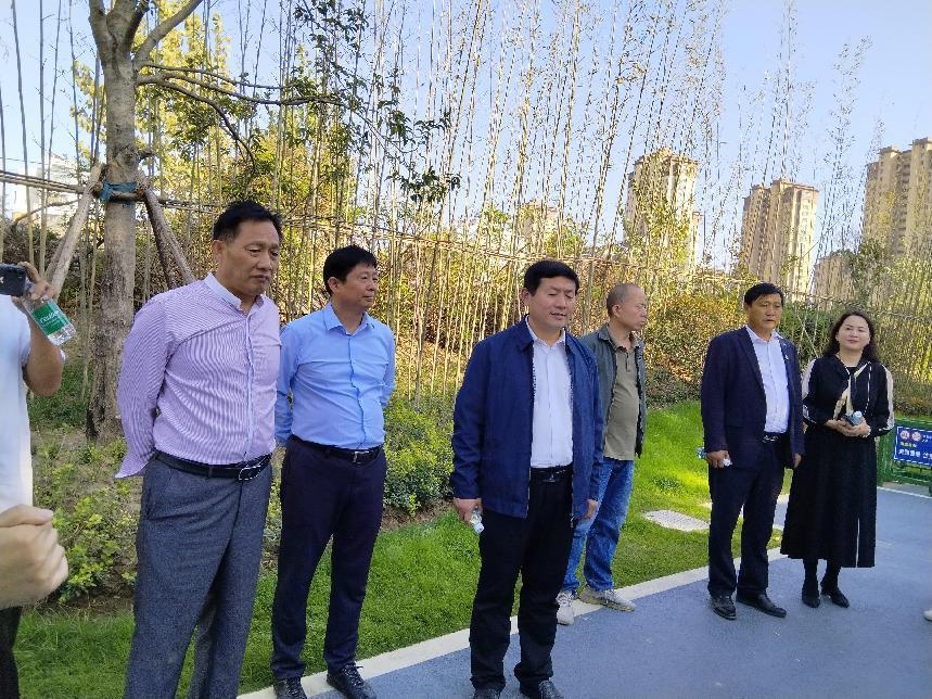 沛縣政協開展創建國家生態園林城市專題視察工作