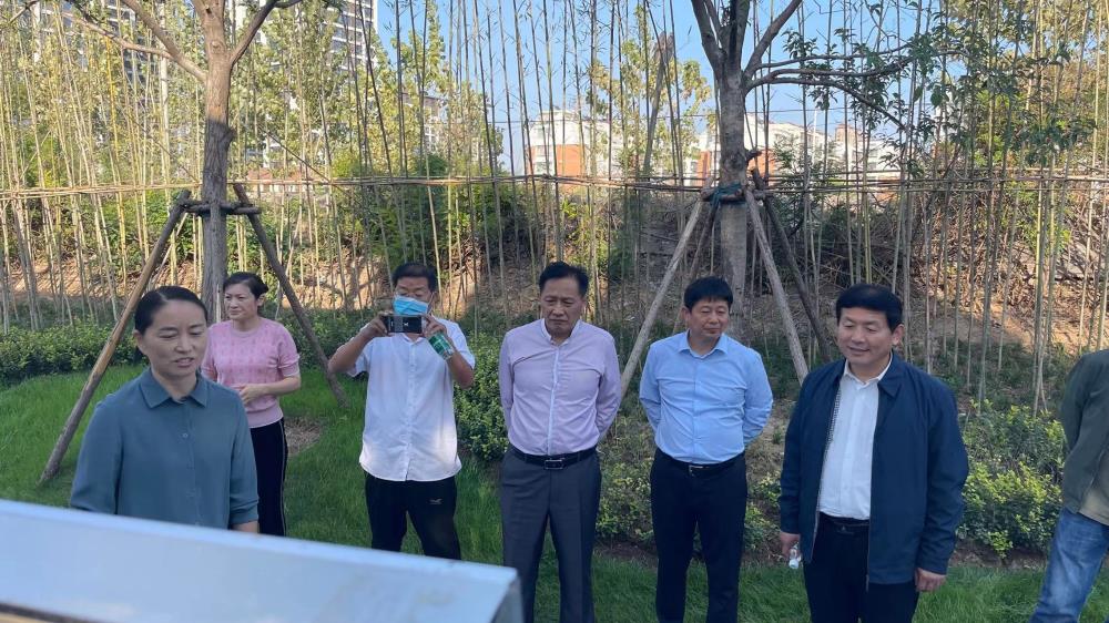 熟悉的城市 陌生的風景 ——沛縣把政協委員建議建成生態園林畫廊
