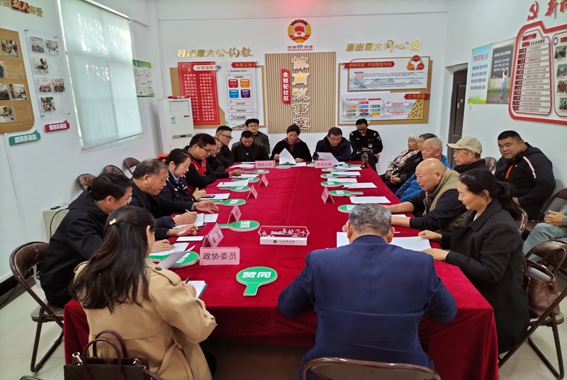 云龍：協(xié)商議事解民憂 修建車棚暖民心