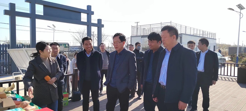 銅山區政協開展“國家鄉村振興示范縣”創建工作主席視察活動