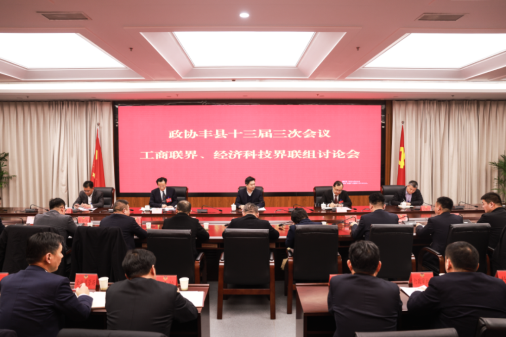 豐縣縣委書記毛孝泉參加縣政協聯組討論