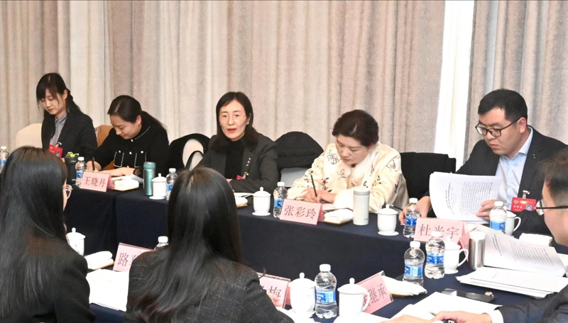市政協(xié)委員分組討論市委書記宋樂偉講話 審議政協(xié)常委會工作報告和提案工作情況報告