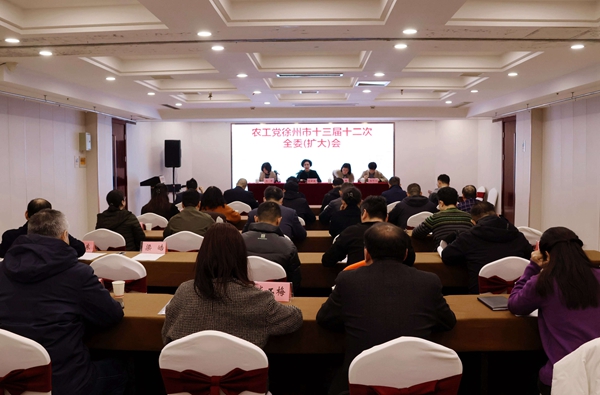 農工黨徐州市十三屆十二次全委(擴大)會議召開
