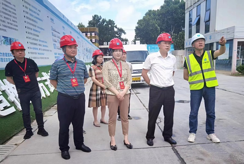 云龍區領導督辦重點提案