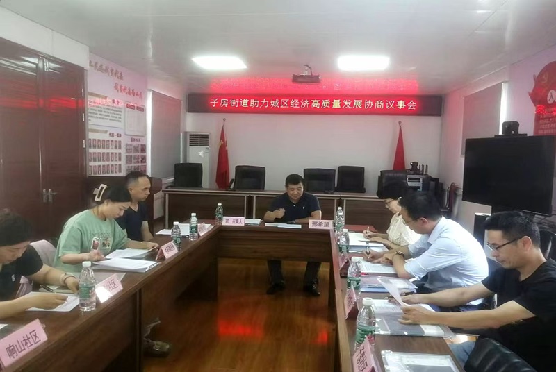云龍：界別同心強引領 履職為民顯擔當
