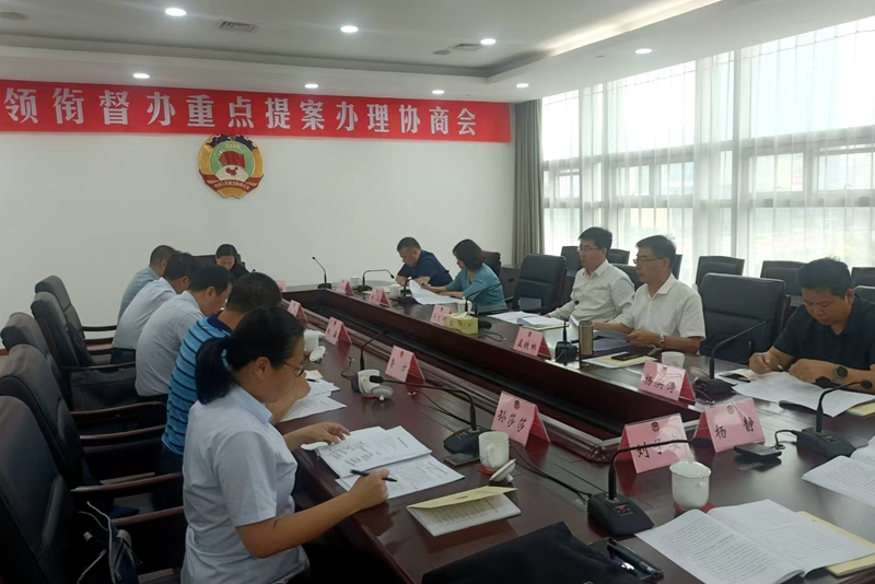 市領導領銜督辦市政協重點提案促進藥品零售行業健康發展