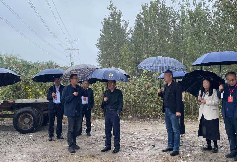 云龍區政協開展“鄉村振興基礎設施建設情況”專項民主監督活動