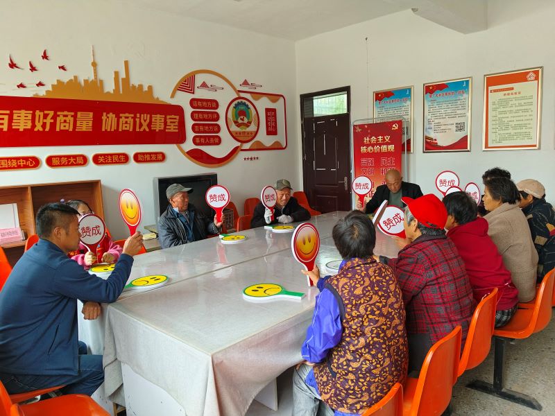 云龍區(qū)潘塘街道趙店社區(qū)召開村內道路整治協(xié)商議事會