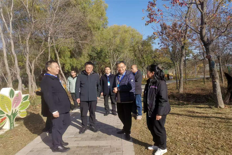 沛縣領導領銜督辦19號重點提案