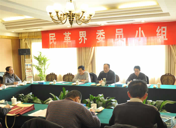 市政協十三屆三次全會各小組討論場面