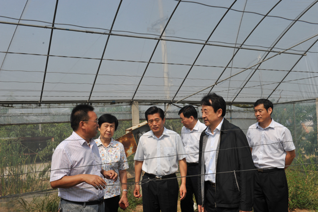 省政協(xié)調(diào)研組來徐調(diào)研生態(tài)文明建設(shè)