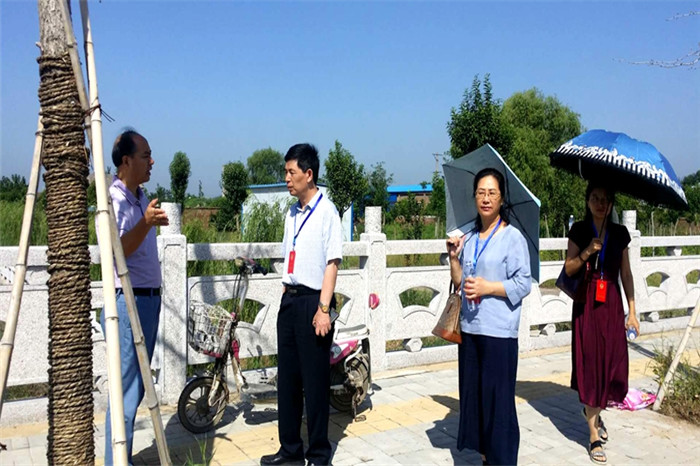 泉山區政協視察水環境保護治理工作