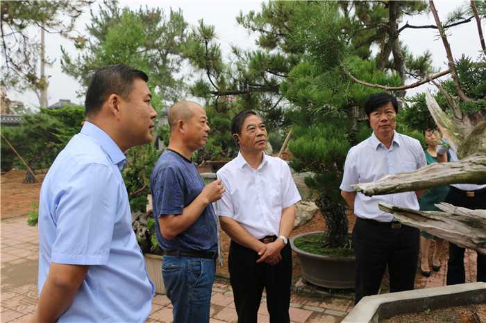 新沂市政協主席會議視察特色小鎮建設