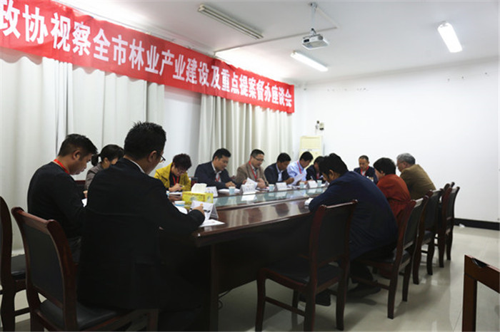 邳州市政協組織督辦關于加強全市銀杏林木研究和保護重點提案