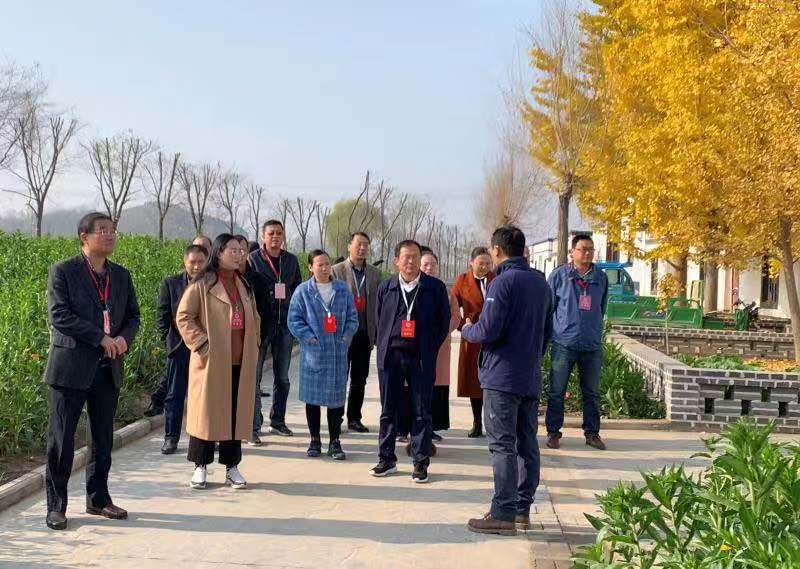 睢寧政協無黨派界別委員視察新農村建設
